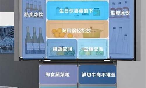 家用冰箱哪个品牌质量最好国产_家用冰箱哪个品牌质量最好